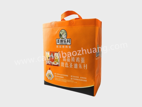 彩匯包裝 食品用無(wú)紡布袋 ，環(huán)保手提袋，定制手提袋