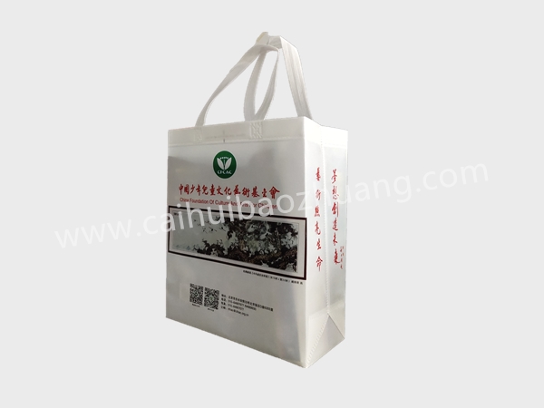 彩匯包裝 協(xié)會(huì)定制無(wú)紡布袋  宣傳用立體手提袋