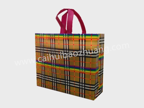 彩匯包裝 時(shí)尚購(gòu)物手提袋 外貿(mào)禮品袋