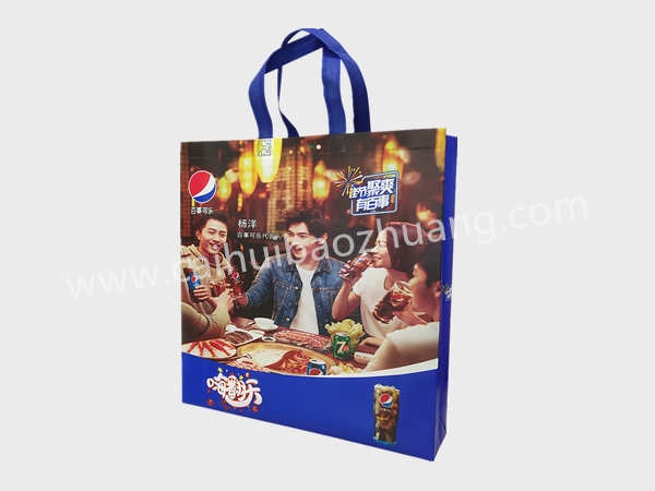 彩匯包裝 飲料手提袋   無(wú)紡布外包裝手提袋