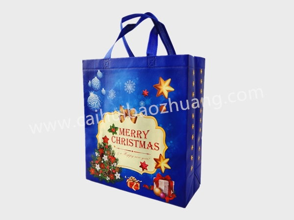彩匯包裝 禮品手提袋  無(wú)紡布環(huán)保手提袋