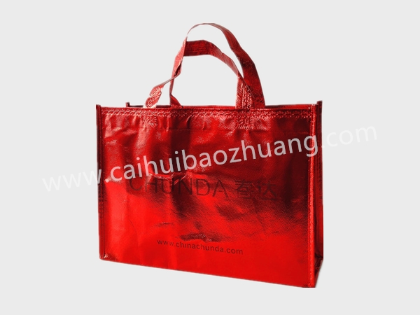 彩匯包裝無(wú)紡布鞋袋、定制手提袋