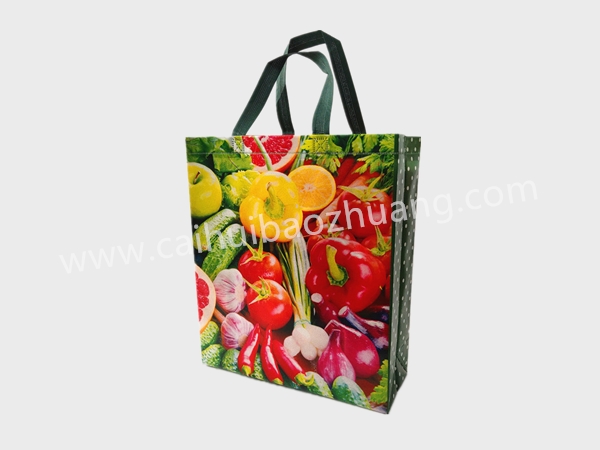 彩匯包裝  外貿(mào)訂單手提袋 定制高端材質(zhì)手提袋