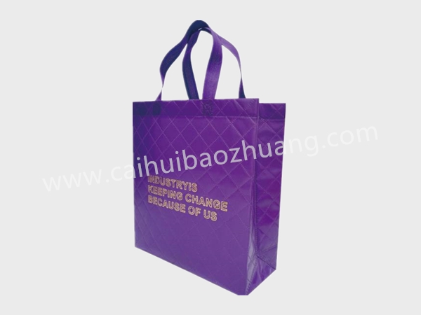 彩匯包裝 手提包裝袋定制廠家 個(gè)性手提袋定制