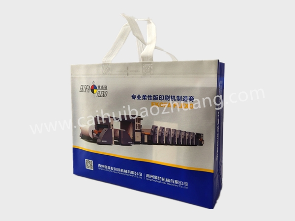 彩匯包裝 廠家定制無(wú)紡布手提袋 廣告宣傳袋