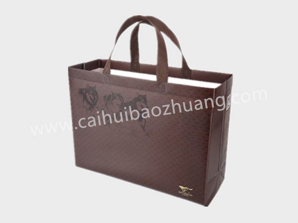 彩匯包裝 環(huán)保手提袋  防水手提包裝袋