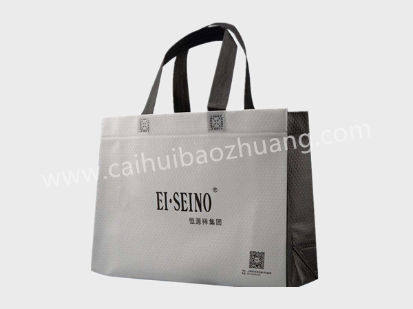 彩匯包裝 服裝手提袋  一次成型環(huán)保袋